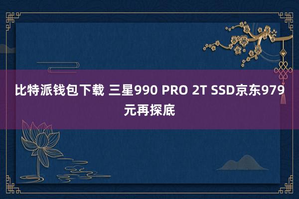 比特派钱包下载 三星990 PRO 2T SSD京东979元再探底