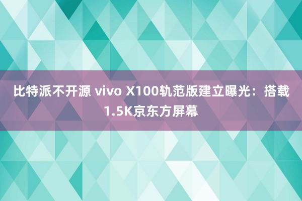 比特派不开源 vivo X100轨范版建立曝光：搭载1.5K京东方屏幕