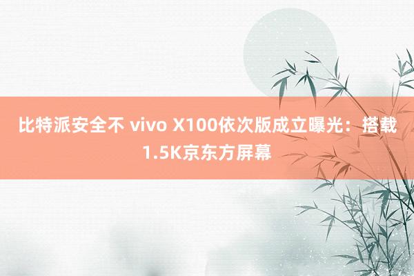 比特派安全不 vivo X100依次版成立曝光：搭载1.5K京东方屏幕