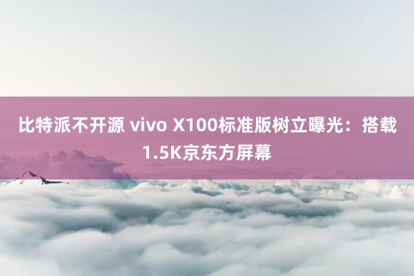 比特派不开源 vivo X100标准版树立曝光：搭载1.5K京东方屏幕