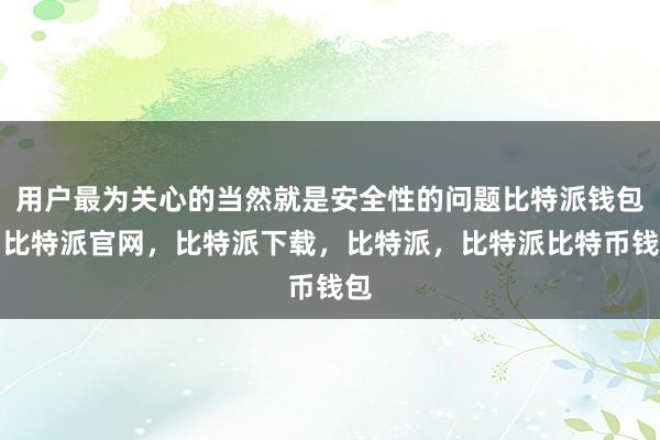 用户最为关心的当然就是安全性的问题比特派钱包，比特派官网，比特派下载，比特派，比特派比特币钱包