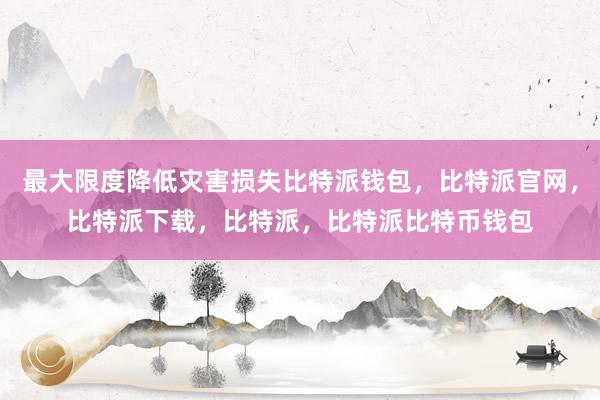 最大限度降低灾害损失比特派钱包，比特派官网，比特派下载，比特派，比特派比特币钱包