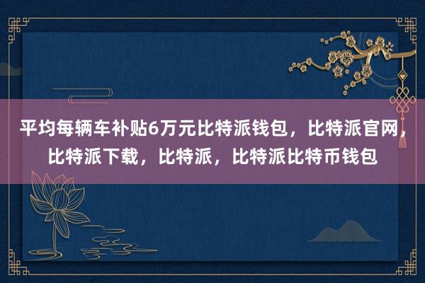 平均每辆车补贴6万元比特派钱包，比特派官网，比特派下载，比特派，比特派比特币钱包