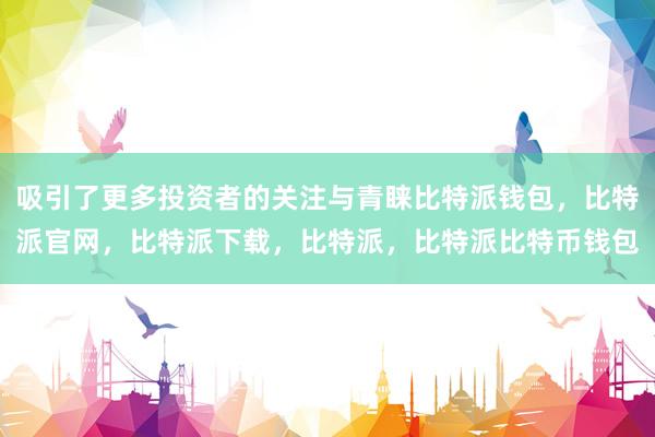 吸引了更多投资者的关注与青睐比特派钱包，比特派官网，比特派下载，比特派，比特派比特币钱包