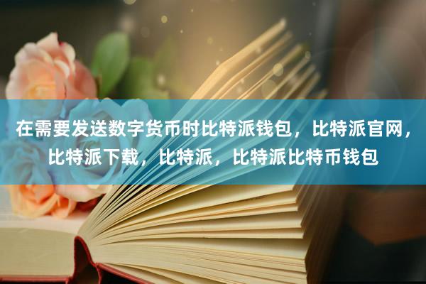 在需要发送数字货币时比特派钱包，比特派官网，比特派下载，比特派，比特派比特币钱包