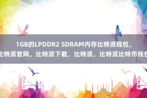 1GB的LPDDR2 SDRAM内存比特派钱包，比特派官网，比特派下载，比特派，比特派比特币钱包