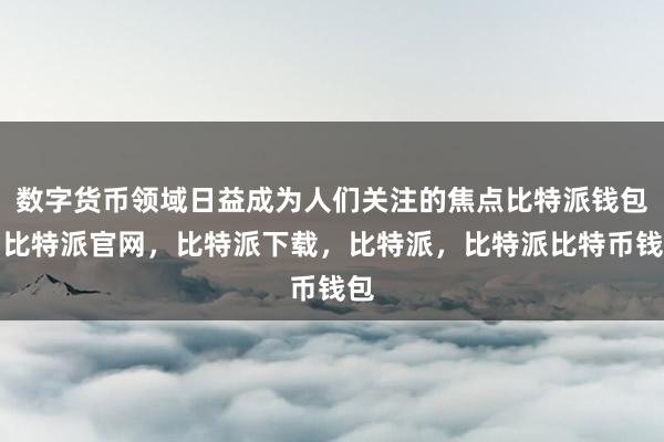 数字货币领域日益成为人们关注的焦点比特派钱包，比特派官网，比特派下载，比特派，比特派比特币钱包