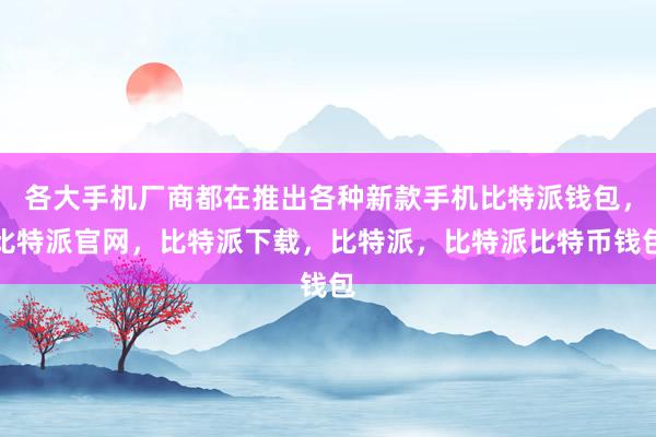 各大手机厂商都在推出各种新款手机比特派钱包，比特派官网，比特派下载，比特派，比特派比特币钱包