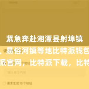 紧急奔赴湘潭县射埠镇、锦石乡、易俗河镇等地比特派钱包，比特派官网，比特派下载，比特派，比特派比特币钱包