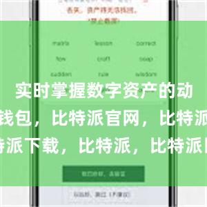 实时掌握数字资产的动态比特派钱包，比特派官网，比特派下载，比特派，比特派比特币钱包