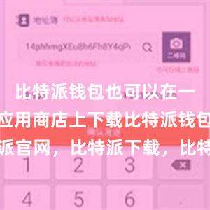 比特派钱包也可以在一些知名的应用商店上下载比特派钱包，比特派官网，比特派下载，比特派，比特派比特币钱包